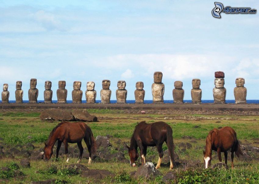 easter islands, Moai statues, brown horses