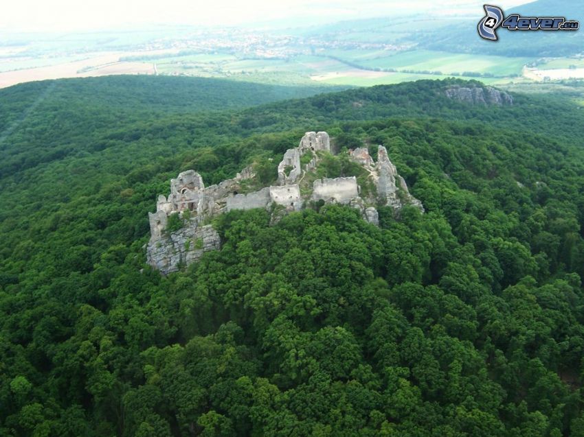 Gýmeš Castle, ruins, forest, aerial view
