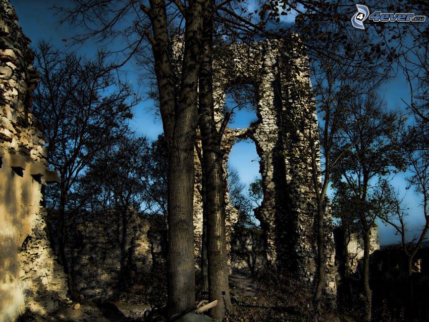 ruins, castle, trees