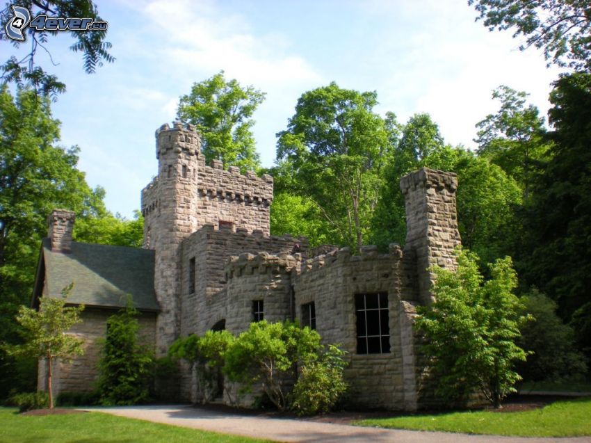 Squire's Castle, forest