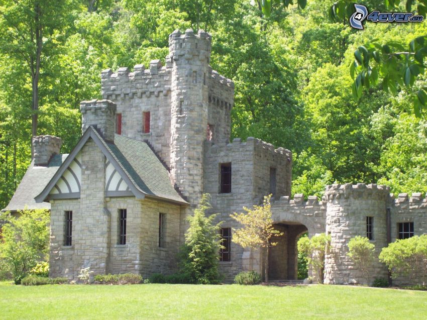 Squire's Castle, forest