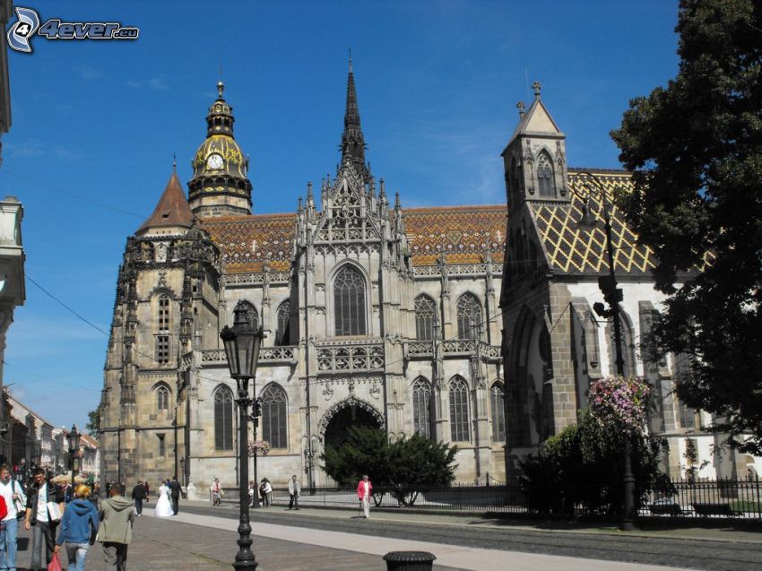 St. Elisabeth Cathedral