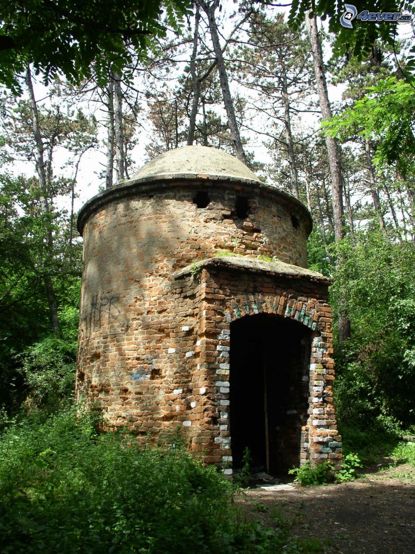 tower, forest, Čermáň, Nitra