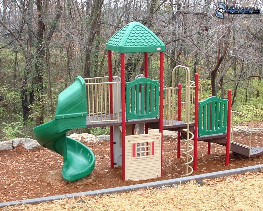 jungle gym, forest