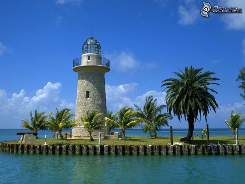 lighthouse, palm trees, sea