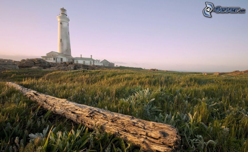 lighthouse, wood, grass