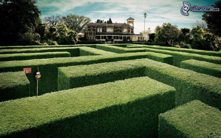maze, hedge, house