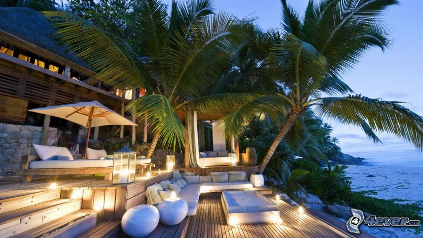 terrace, luxury house, palm trees