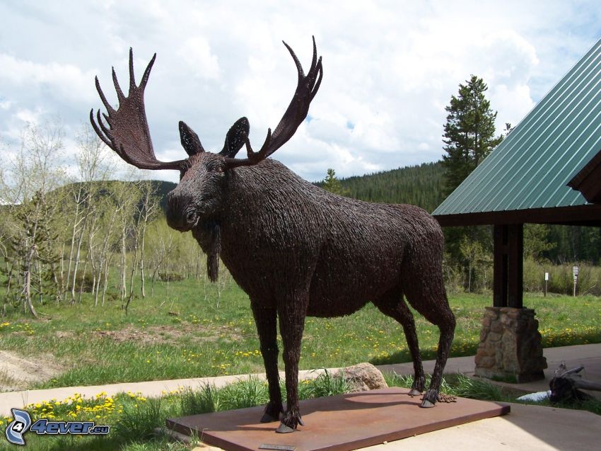 moose, statue