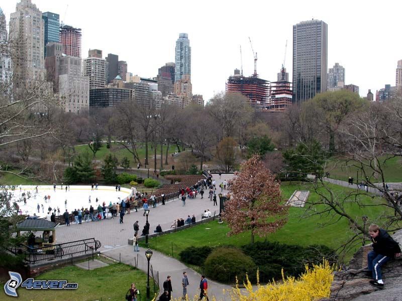 Central Park, skyscrapers