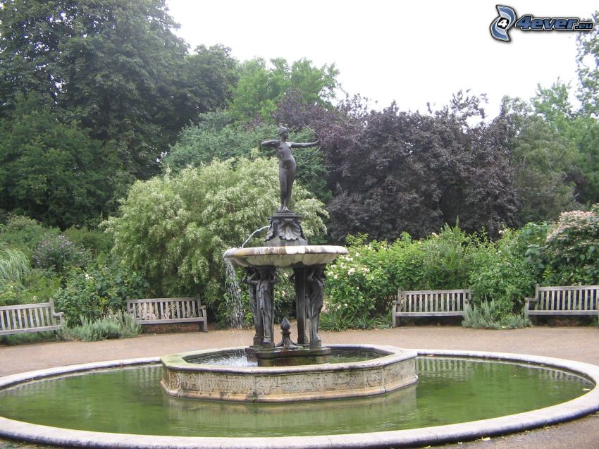 fountain in the park, greenery, trees