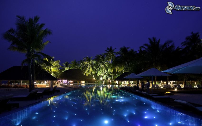 pool, evening, palm trees