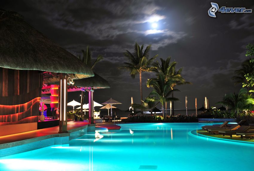 pool, palm trees, night, moon