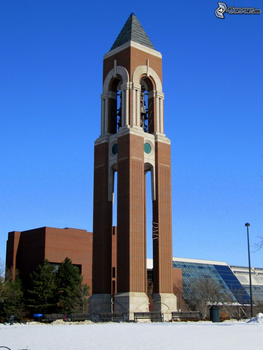 Shafer Tower, bell tower