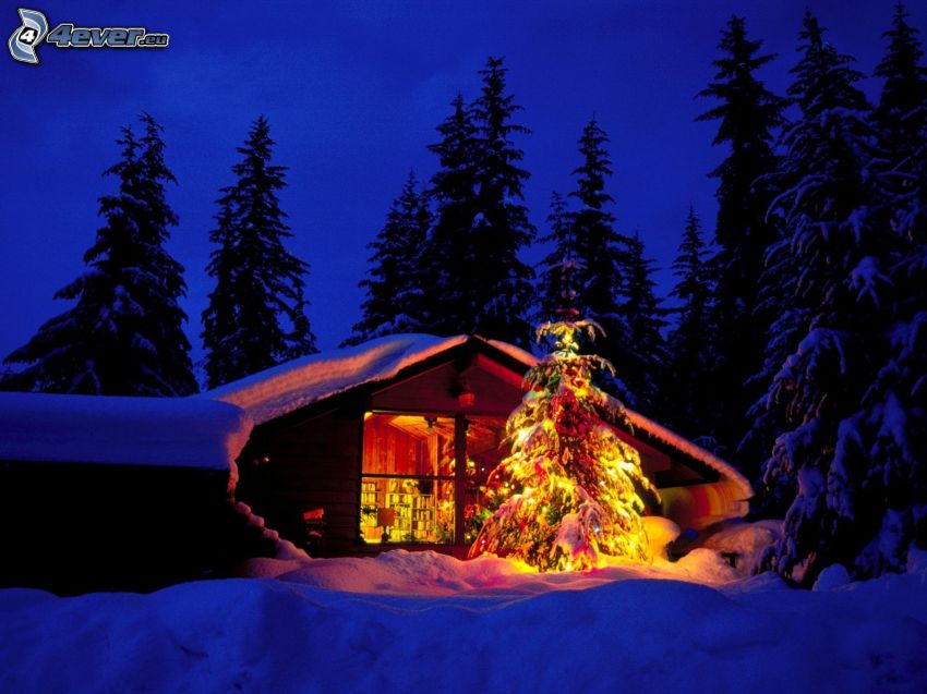 small mountain cottage, christmas tree, snowy trees, snow