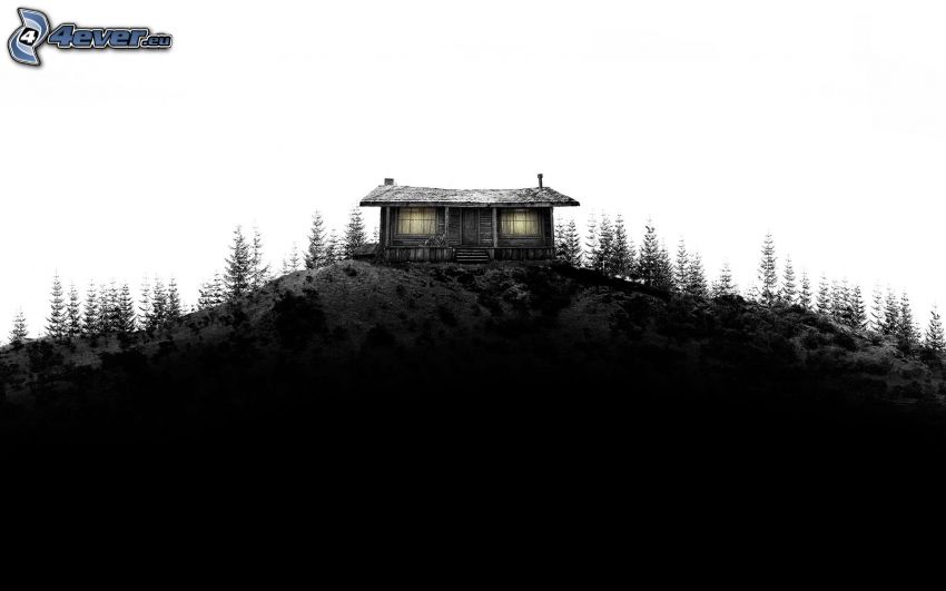 small mountain cottage