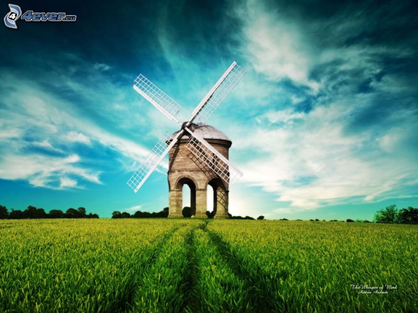 windmill, sky, field