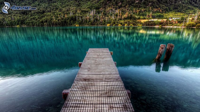 wooden pier, lake, forest