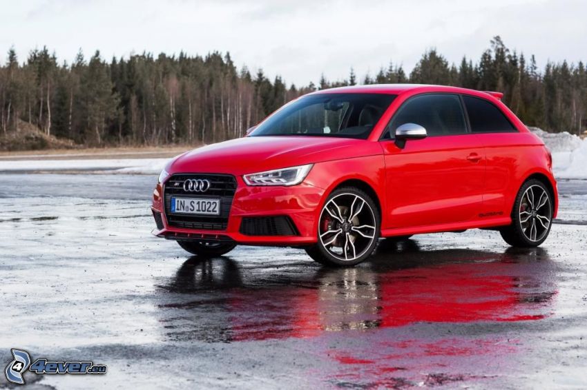 Audi S1, ice, forest