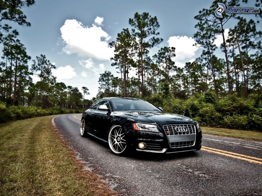 Audi S5, road through forest