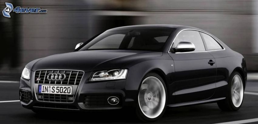 Audi S5, speed