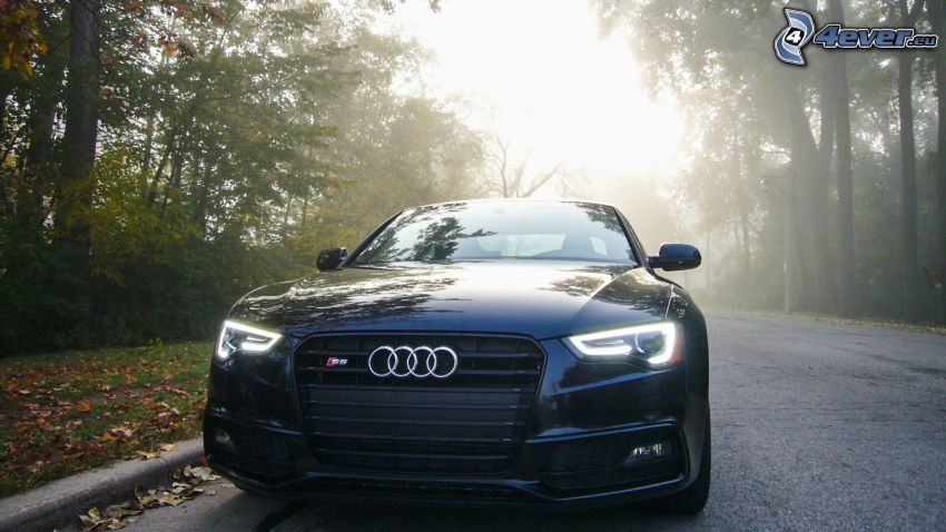 Audi S6, road through forest