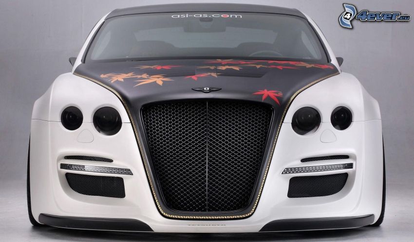 Bentley Continental GT, front grille