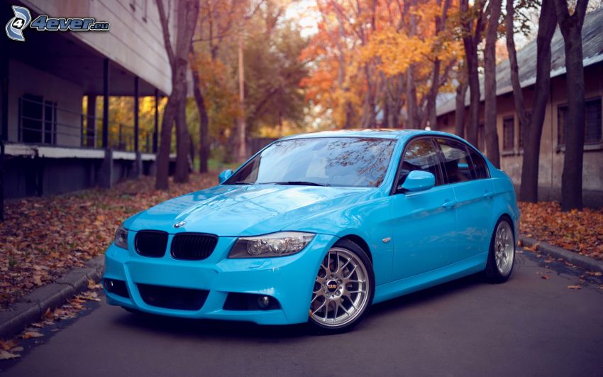 BMW 3, autumn leaves