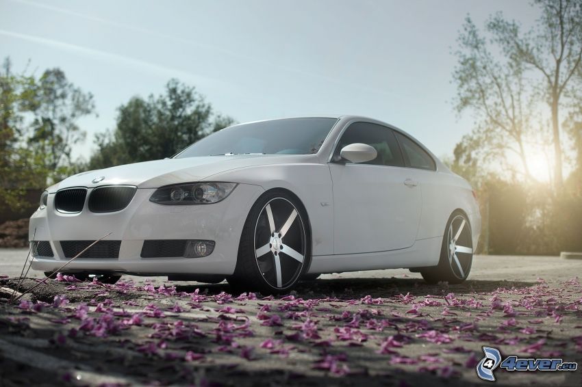 BMW 3, petals
