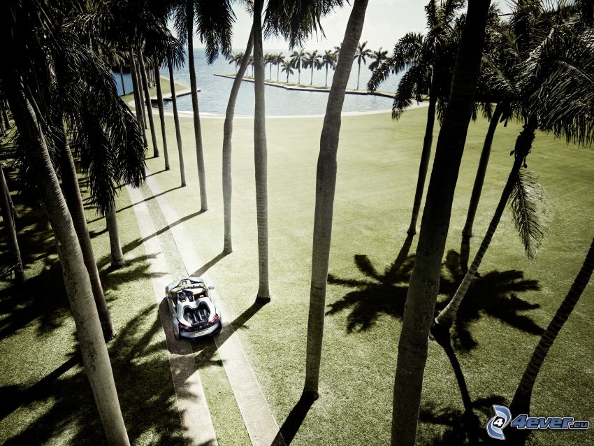 BMW i8, concept, palm trees, sea