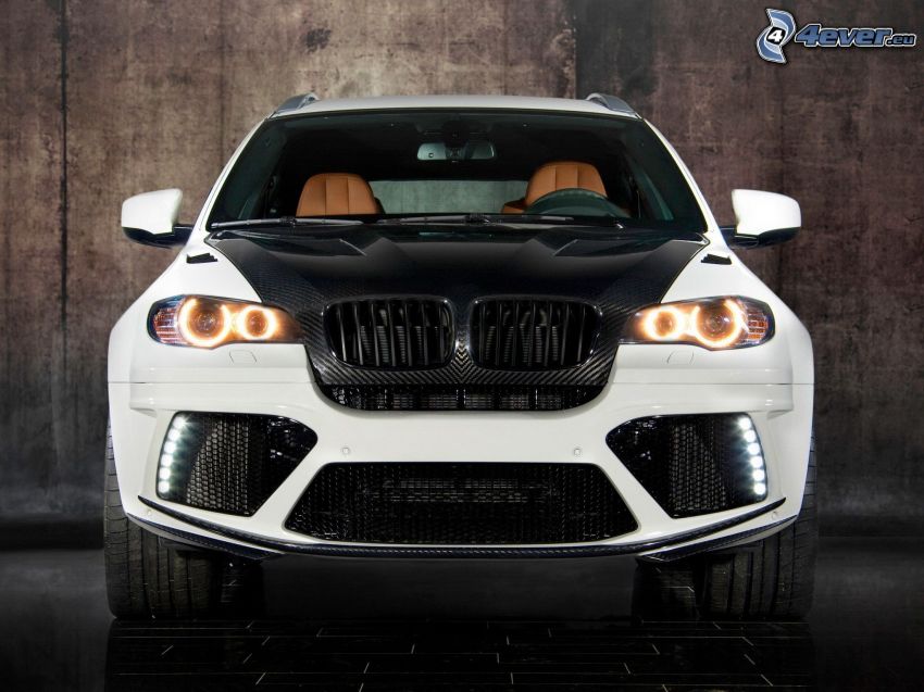 BMW X6, front grille