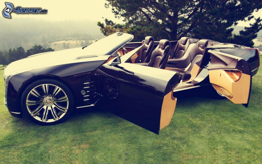 Cadillac Ciel, convertible, door, concept