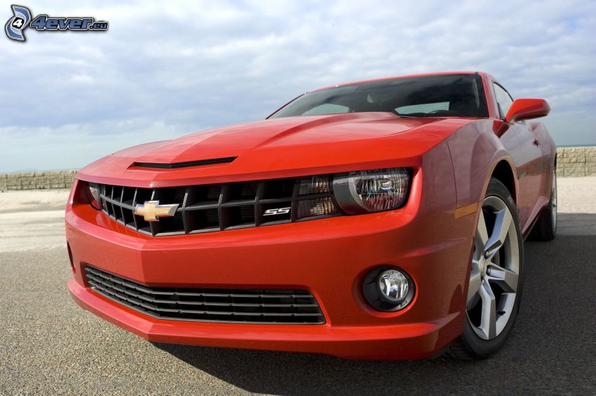 Chevrolet Camaro, front grille