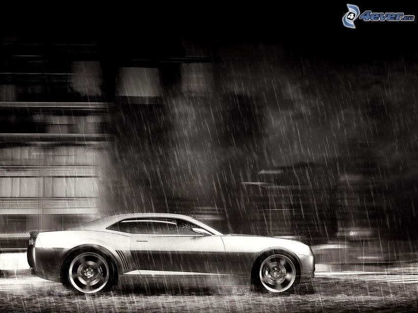 Chevrolet Camaro, rain, black and white