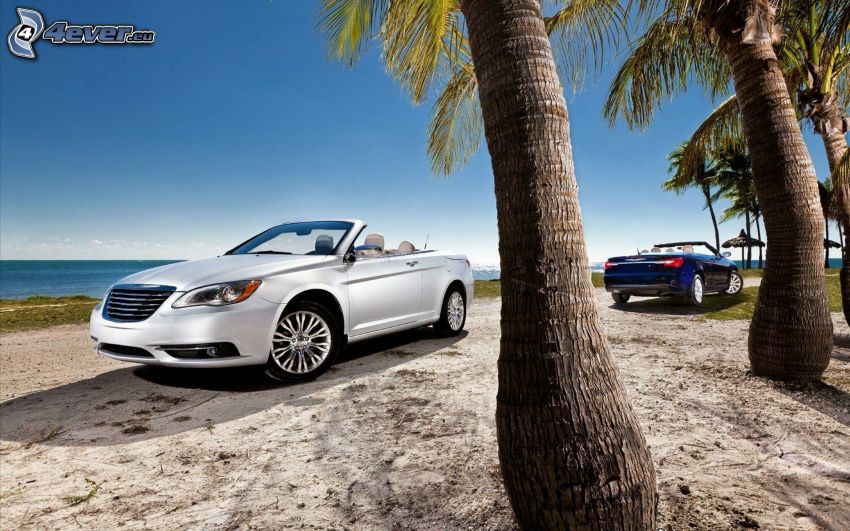 Chrysler 200 Convertible, convertible, palm trees
