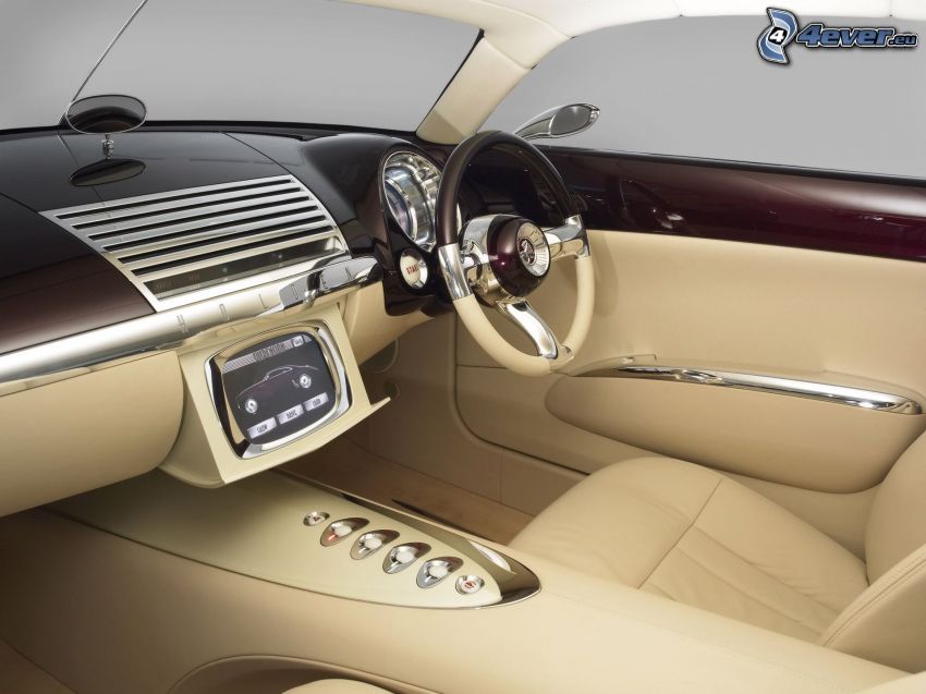 Efijy Concept, interior, dashboard, steering wheel