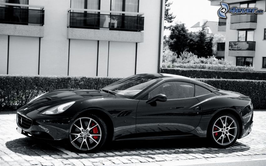 Ferrari California GT, black and white photo