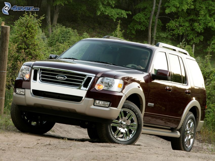 Ford Explorer, SUV, forest