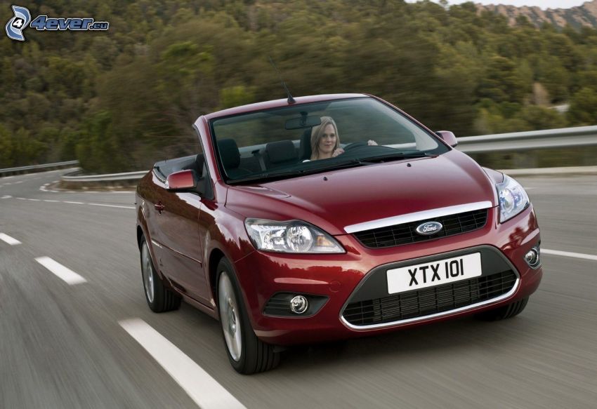 Ford Focus, convertible, road, speed