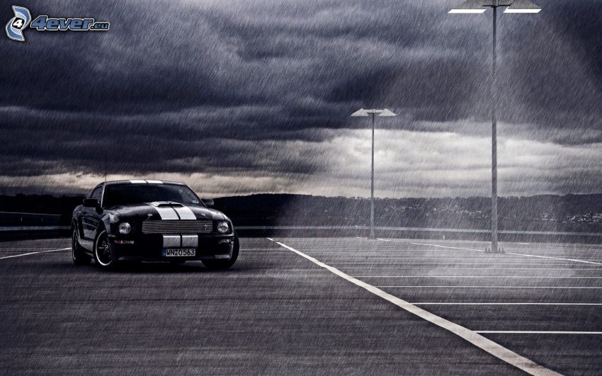 Ford Mustang, rain, lamps, night, black and white