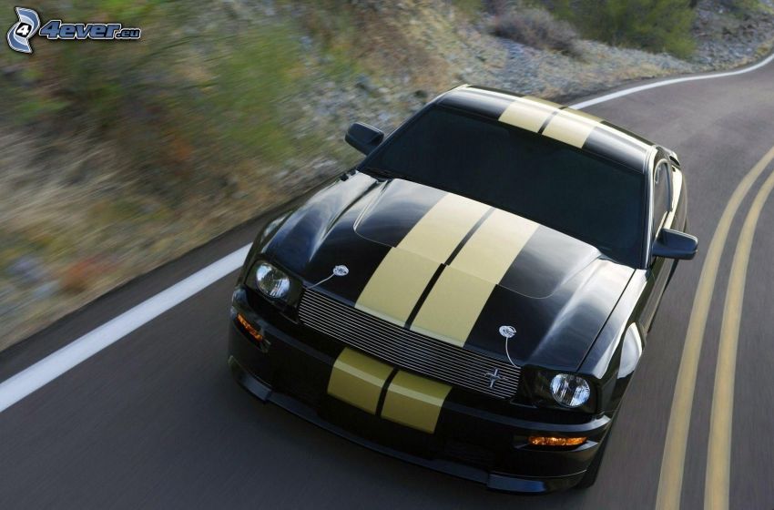 Ford Mustang, road