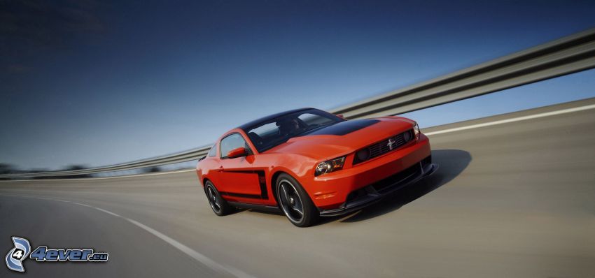 Ford Mustang Boss 302, speed, road