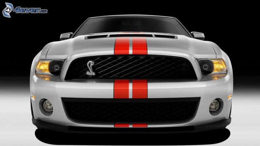 Ford Mustang Shelby GT500, front grille