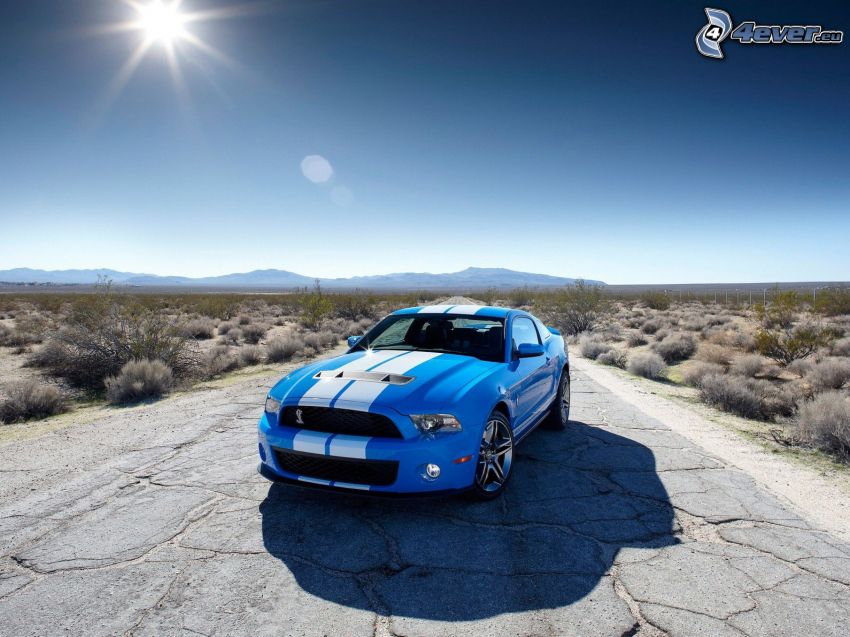 Ford Mustang Shelby GT500, road, desiccated steppe landscape, sun
