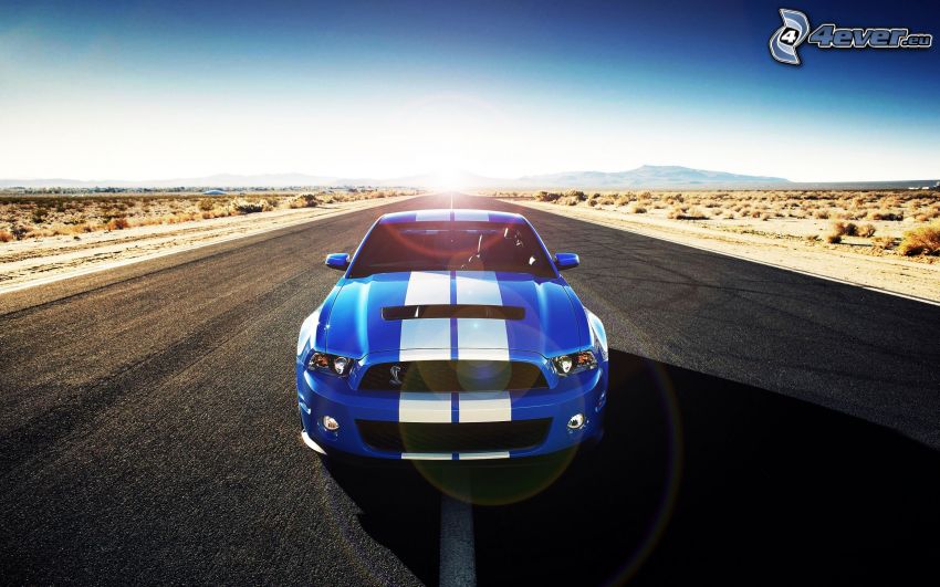 Ford Mustang Shelby GT500, straight way, desert