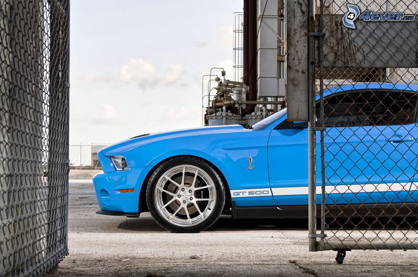 Ford Mustang Shelby GT500, wire fence