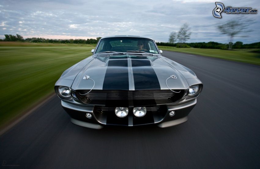 Ford Mustang Shelby GT500 Eleanor, front grille, speed