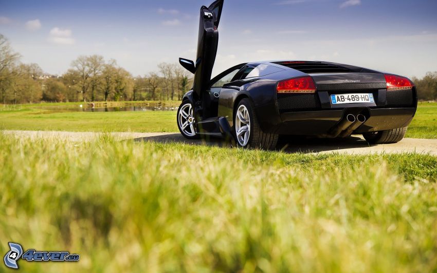 Lamborghini Murciélago, lawn