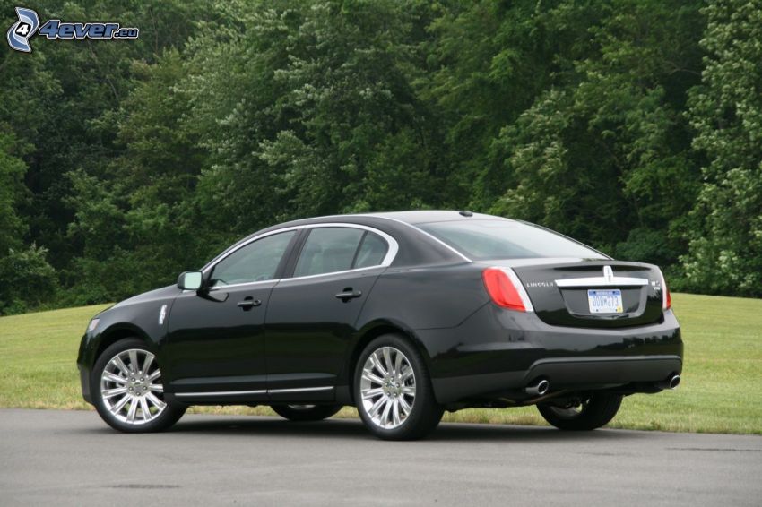 Lincoln MKS, forest