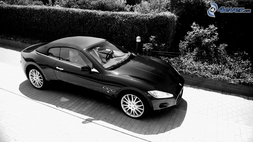 Maserati GranCabrio, black and white photo